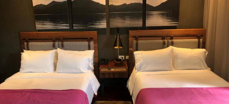 圣迭戈伽马林康酒店(Gamma Monterrey Rincon de Santiago)图片