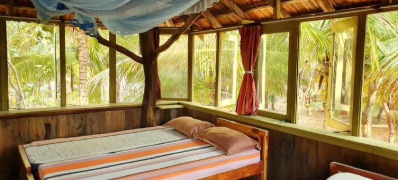 灯塔海滩小屋(Light House Beach Hut)图片