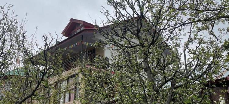 Hoshey Homestay图片