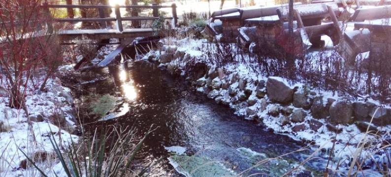 博腾密尔酒店(Hotel Boltenmühle)图片