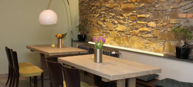 阿尔特膳食旅馆(Alt Pension)图片