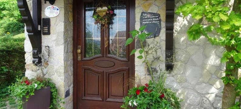 全景公寓(Ferienwohnung Panorama)图片