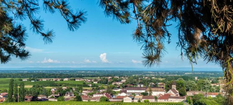 卡里昂 SPA 酒店(Frédéric Carrion - Cuisine, Hôtel & Spa)图片