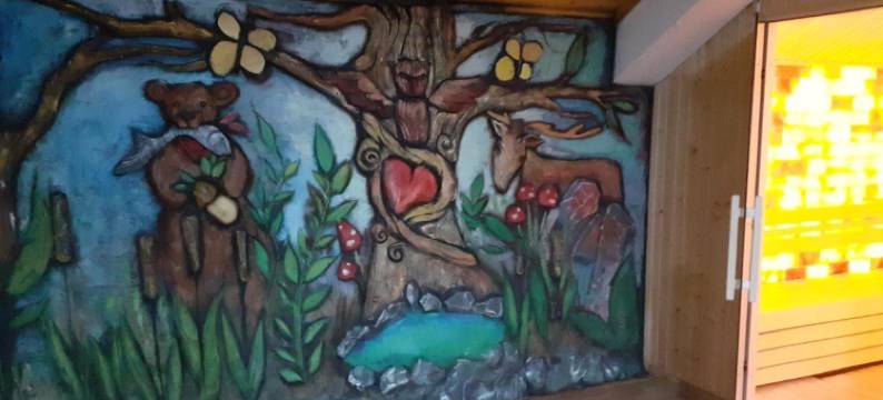 Pensiunea Dracula & Spa图片