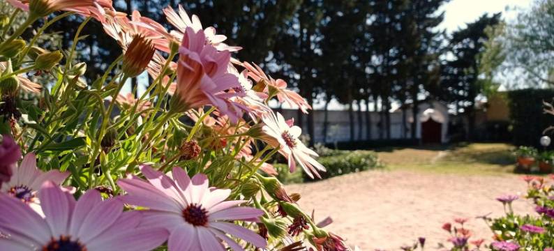 拱门乡村别墅民宿(Gli Archi Country Home)图片