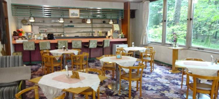 草津斯凯兰酒店(Kusatsu Skyland Hotel)图片