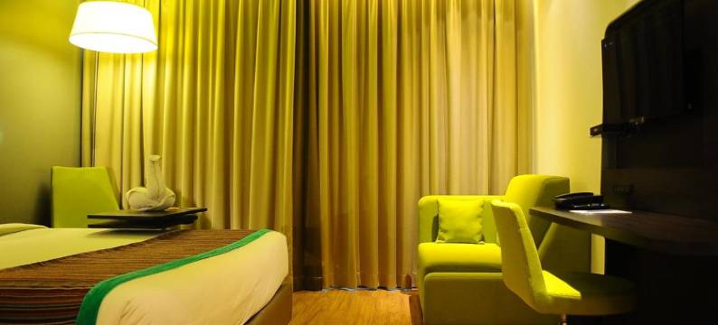 比拉斯布尔丽柏酒店(Park Inn by Radisson Gurgaon Bilaspur)图片