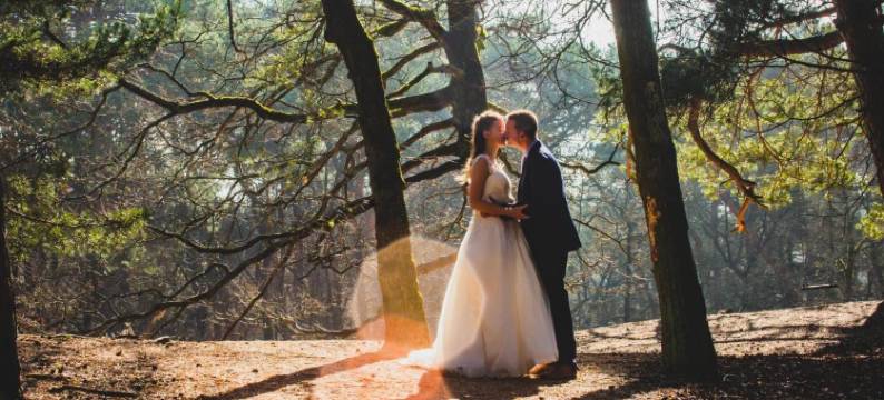 比特恩普拉兹德贝尔格斯博森酒店(Buitenplaats de Bergse Bossen)图片