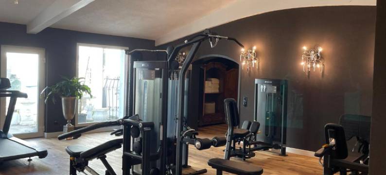 安提克城市酒店(Boutiquehotel Goldhahn Bio Sport & Wellness)图片