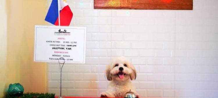 Antwet Backpacker's Inn & Rooftop Bar图片