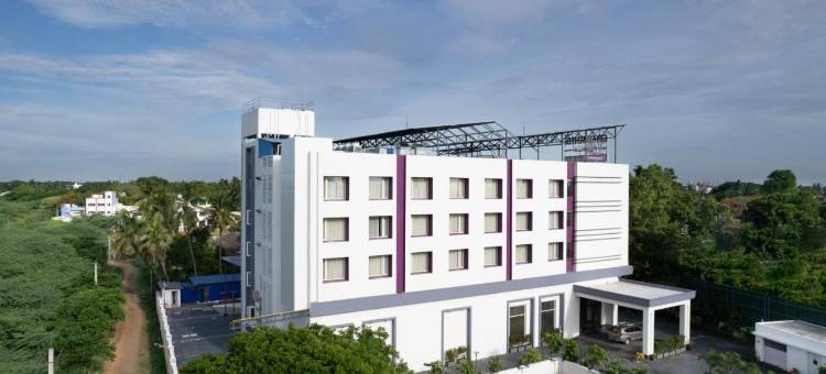 丁香库姆巴科南(Lilac Kumbakonam)图片