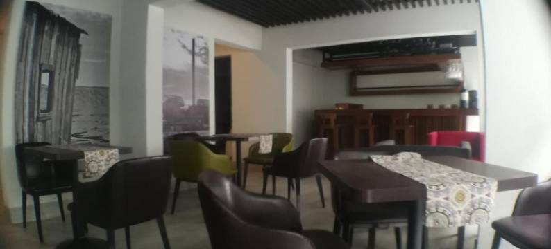 巴圭达诺大道酒店(Hotel Baquedano Boulevard)图片