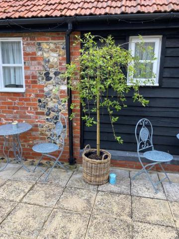 Ship Stores B&B Over view