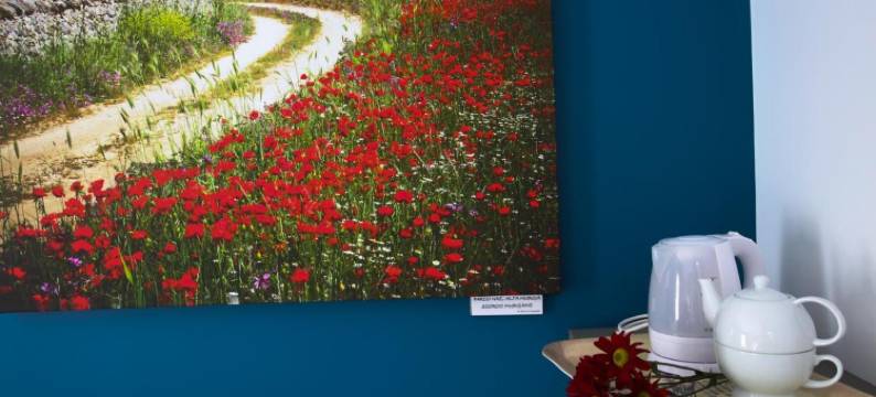 阿尔科卡普蒂民宿(B&B Arco Caputi)图片