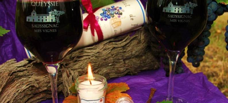 奎西酒庄酒店(Domaine de la Queyssie)图片