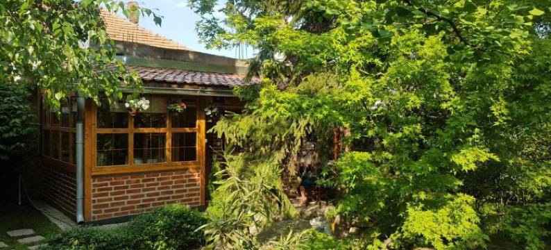 Base for Adventurers - Urban Guerrilla图片