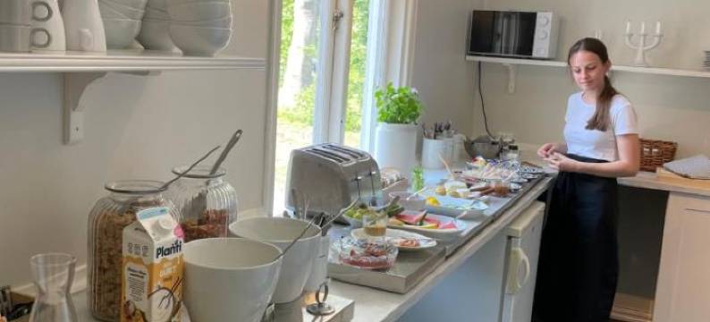 Rosenfors Herrgård B&B图片