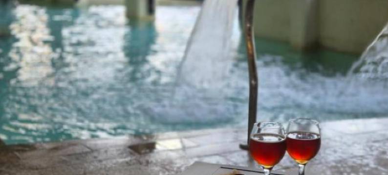 罗布林斯公寓酒店(Los Robles Apart Hotel l Suites & Spa)图片