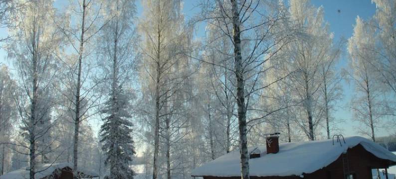 蓬卡哈尔尤哈皮玛格度假村(Hapimag Ferienwohnungen Punkaharju)图片