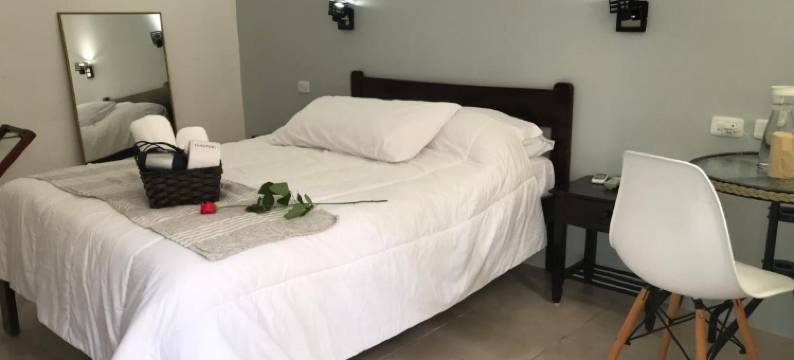 仙人掌酒店(Cactus)图片