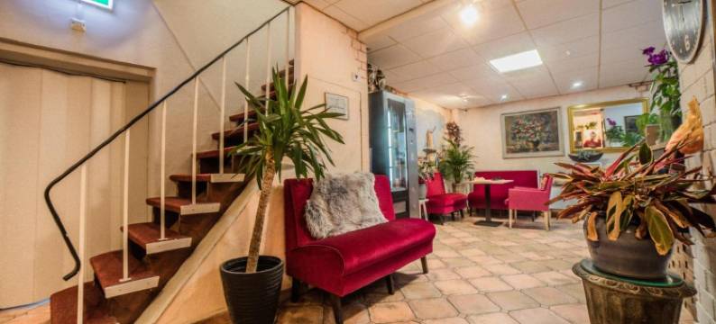 普罗旺科酒店(Hotel le Provencal)图片