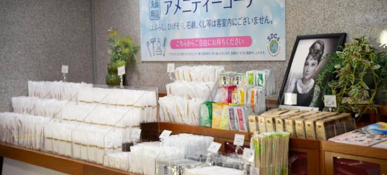 鹿儿岛天文馆广场酒店(Kagoshima Plaza Hotel Tenmonkan)图片