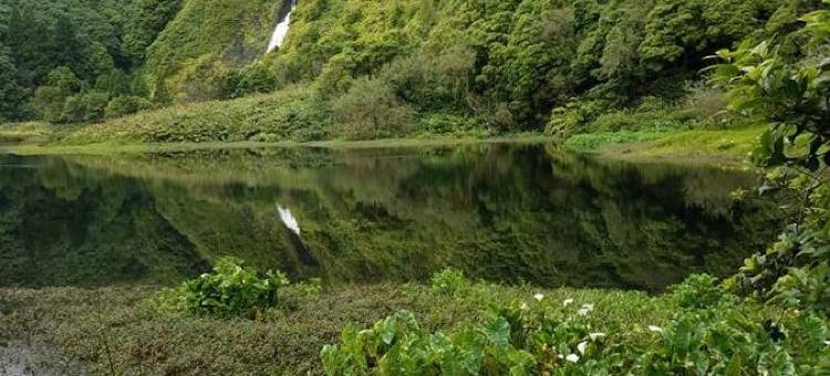 Casas da Quinta图片