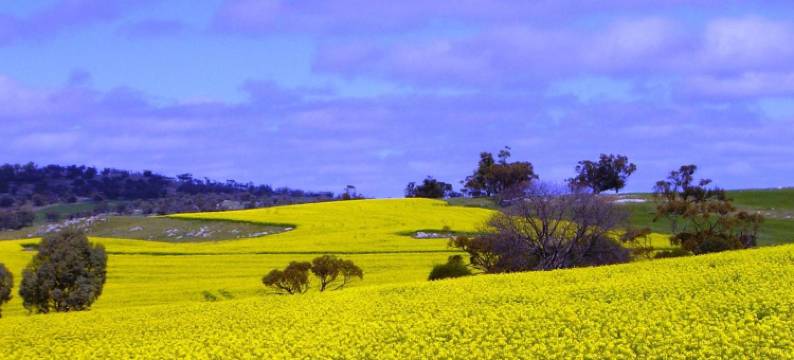 山坡乡间旅馆(Hillside Country Retreat)图片