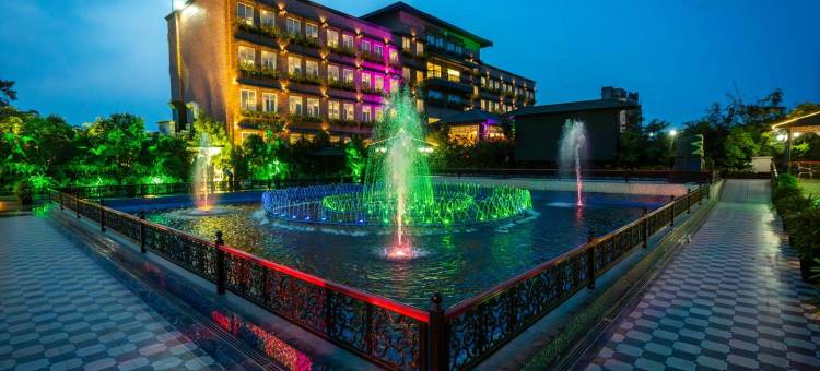梅菲尔Purnea(Mayfair Purnea)图片