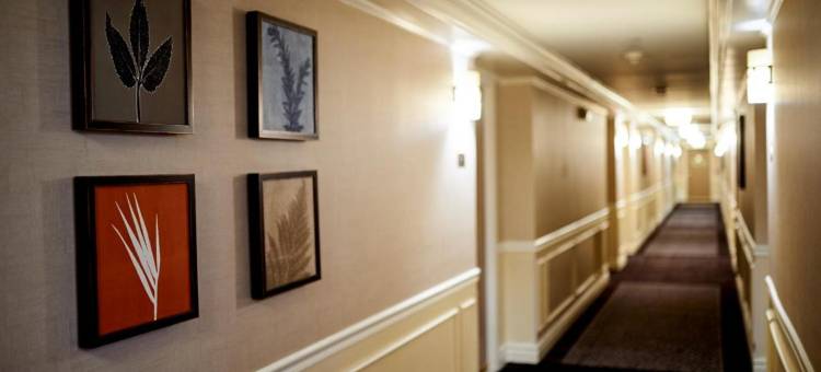 沃里克丹佛旅馆(Warwick Denver)图片