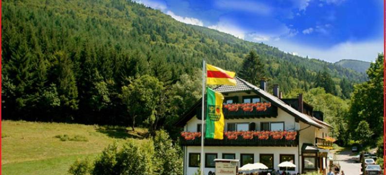 沃卡斯特霍夫阿尔特斯巴赫酒店(Waldgasthof Altersbach)图片