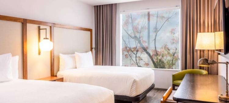 坎昆市中心万豪万枫酒店(Fairfield by Marriott Inn & Suites Cancun Downtown)图片