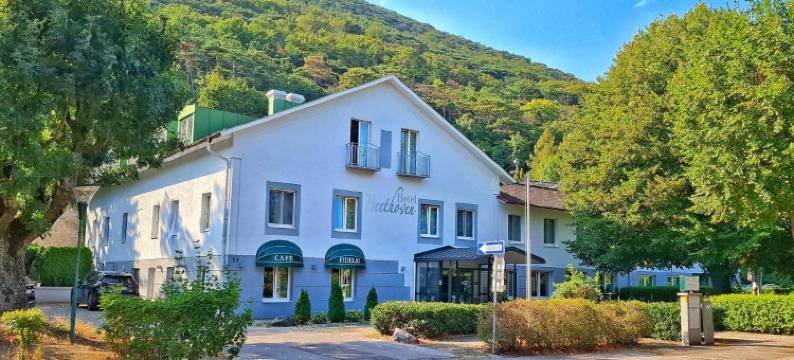 贝多芬酒店(Hotel Beethoven)图片