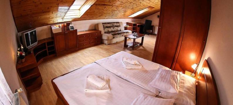 圣弗洛蓝什突勒沃酒店(Hotel St.Florian Sturovo)图片