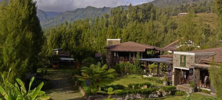 布罗莫吉瓦加瓦度假村(Jiwa Jawa Resort Bromo)图片