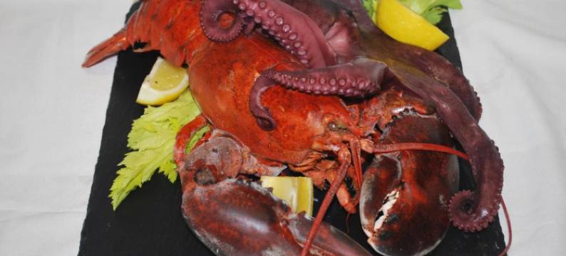 阿雷娜旅馆(Hotel Arena)图片