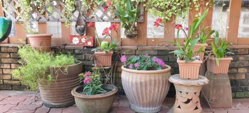 小宾馆酒店(Little Guest House Hotel)图片