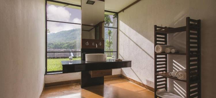 热带雨林度假村(Rainforest)图片