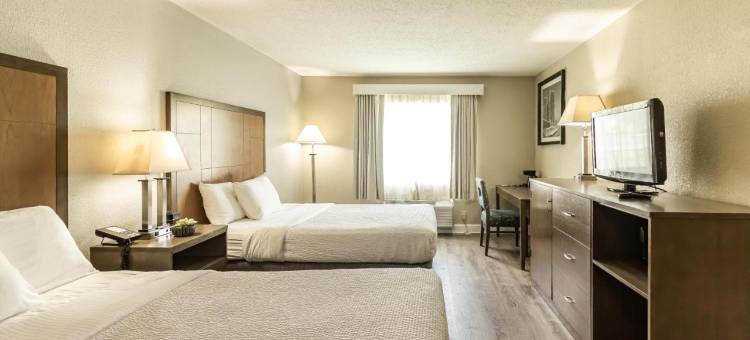 里士满南拉昆塔温德姆酒店(La Quinta Inn by Wyndham Richmond South)图片