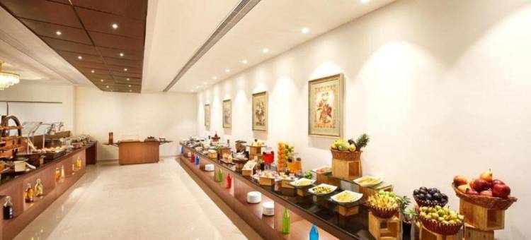 阿科德铬(Accord Chrome)图片