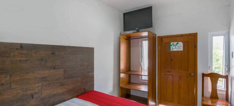 OYO 帕尔马皇家酒店(OYO Hotel Palma Real)图片