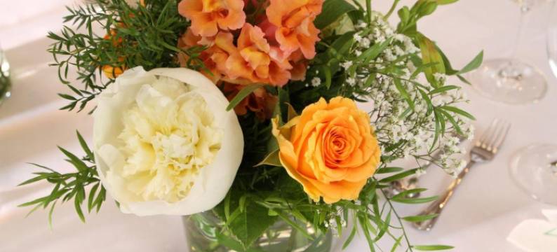 黑斯劳尔兰德豪斯酒店(Haselauer Landhaus)图片