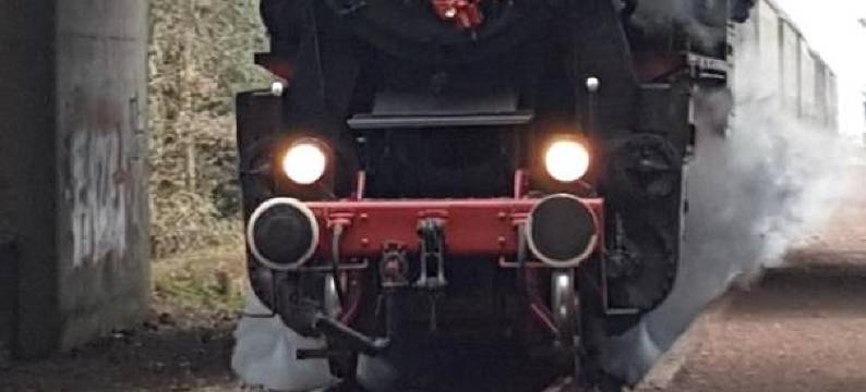 B&B de Loenense Bossen图片