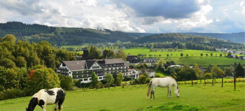 苏尔地阿尔平酒店(Sauerland Alpin Hotel)图片