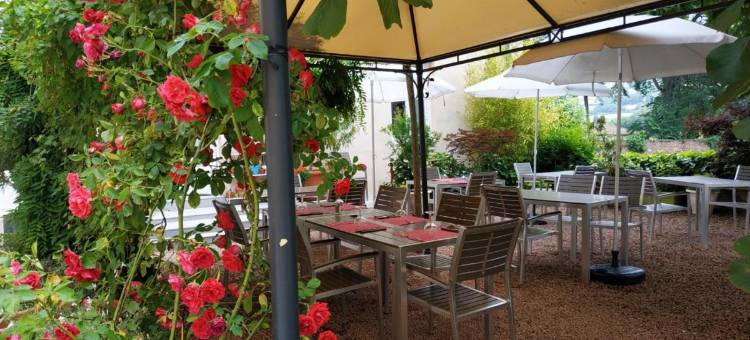 七叶树酒店(Le Marronnier)图片