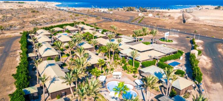 阿布达巴旅馆(Abu Dabbab Lodge)图片