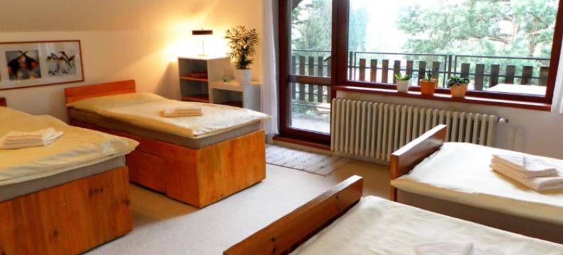 博尔住宿加早餐旅馆(Penzion Bor)图片