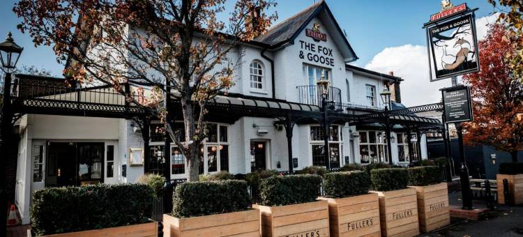 狐狸&鹅酒店(The Fox & Goose Hotel)图片