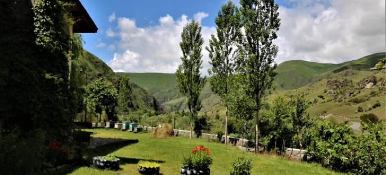 Taoskari Hotel图片