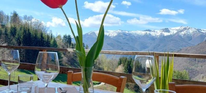 罗坎达伊尔坎普德拉奎尔恰宾馆(Locanda Il Campo Della Quercia)图片